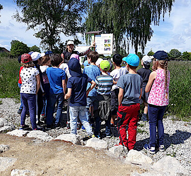 Wildbienen-Schaugarten in der Alten Bahnhofstraße – Ein Garten für Mensch und Wildbiene